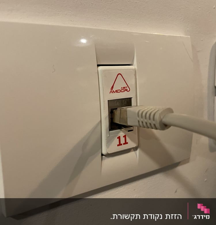 כבל רשת מחובר לשקע קיר עם מספר 11